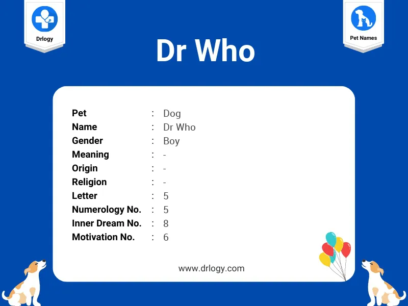 Dr Who Name Meaning